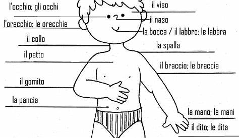 First Year Italian / I vestiti e le parti del corpo