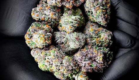 Tutti Frutti Weed Buy AAA Online West Coast Cannabis