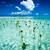 tuvalu tourist attractions