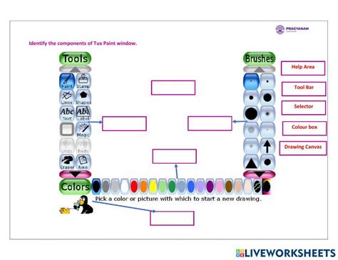 Tux Paint Questions And Answers Class 1