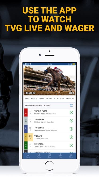 tvg horse racing betting online app