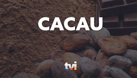 tvi player cacau