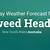 tweed heads weather forecast