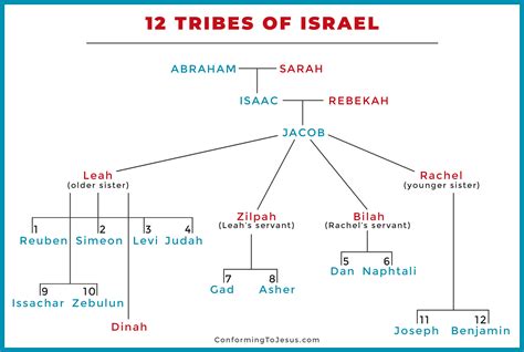 twelve tribes of israel family tree