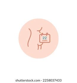 What Happens at Twenty Two Weeks Pregnant: A Crucial Milestone