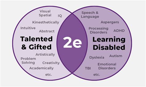 twice exceptional