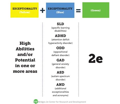 twice exceptional adult characteristics