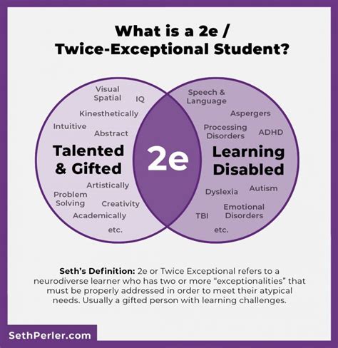 twice exceptional means