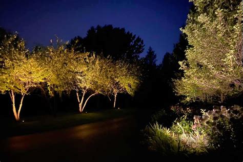 Twilight Landscape Lighting