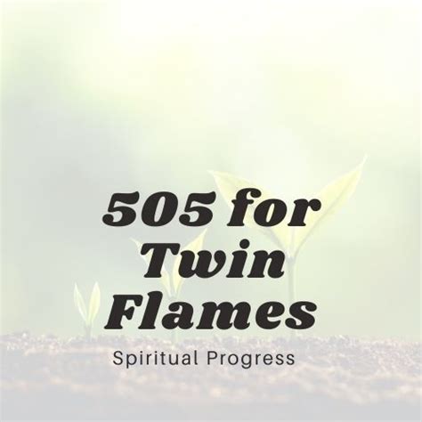 twin flame number 505