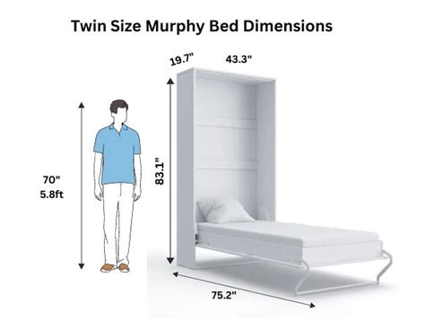 twin size murphy bed dimensions