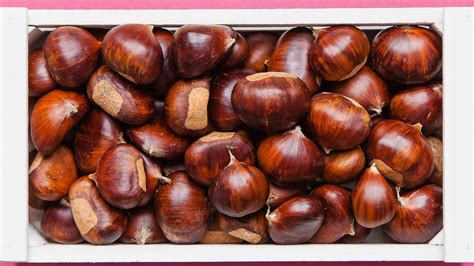 twitter sara marroni