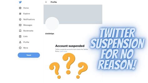 twitter suspended for no reason