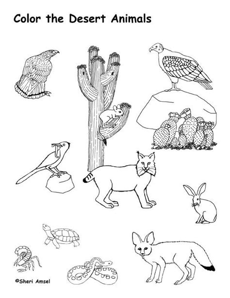 Two Desert Animals Coloring Page