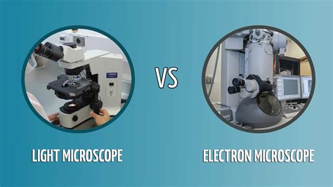 Two Difference Between Electron Microscope And Compound Microscope