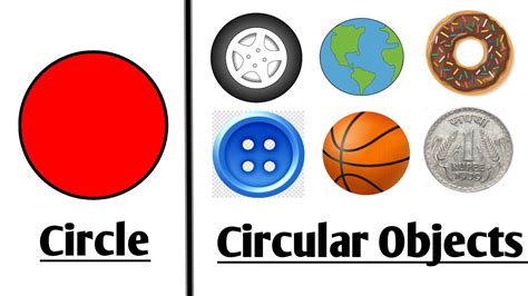 Two Examples Of Circular Objects