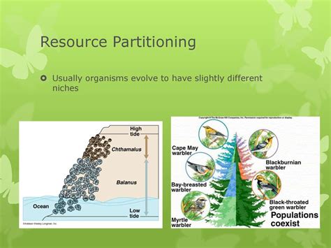 two examples of resource partitioning