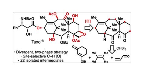 two phase synthesis of taxol