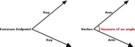 two rays with a common endpoint is called