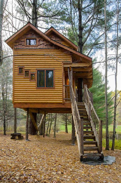 Two Story Treehouse