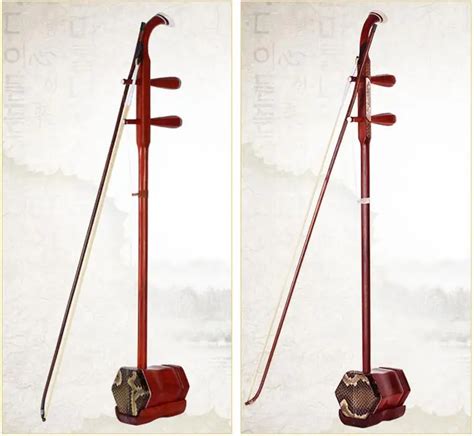 Two Stringed Chinese Instruments