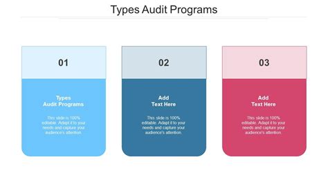 two types of audit program