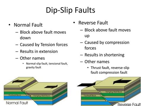 Two Types Of Dip Slip Faults