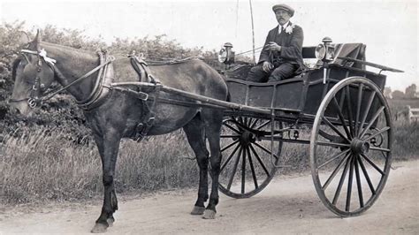 two wheeled horse drawn cart