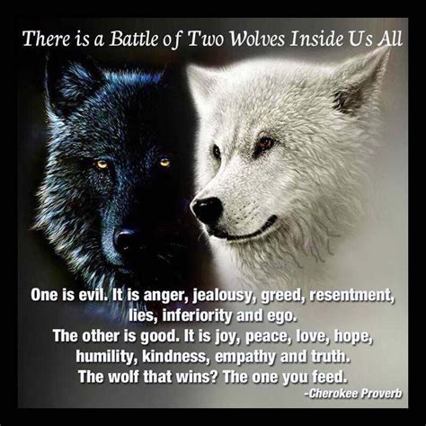 two wolves inside us
