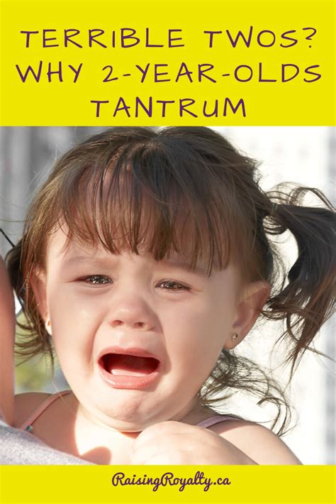 Two Year Old Constantly Throwing Tantrums