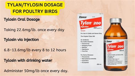 tylan 200 injectable dosage for chickens