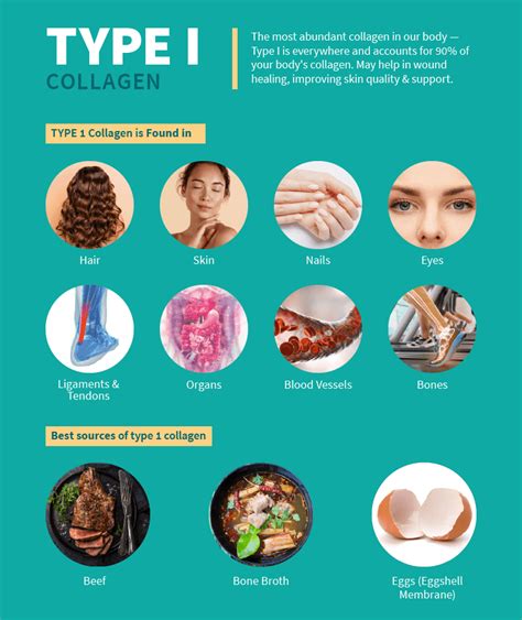 Type 1 Collagen Benefits