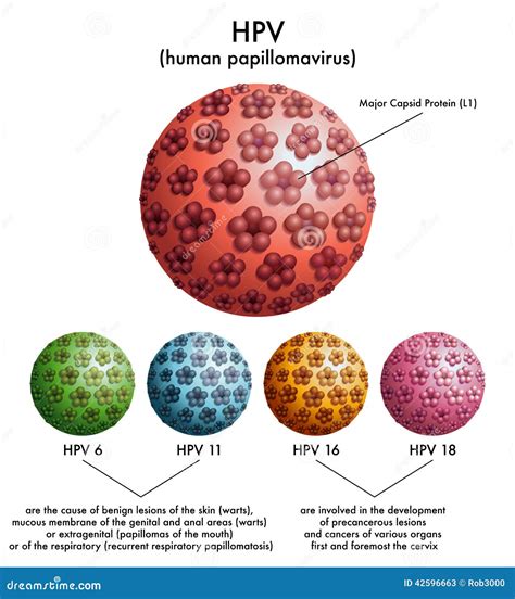 type 16 and 18 hpv