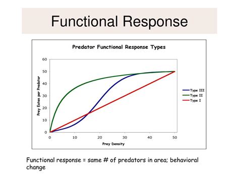 type 3 functional response example