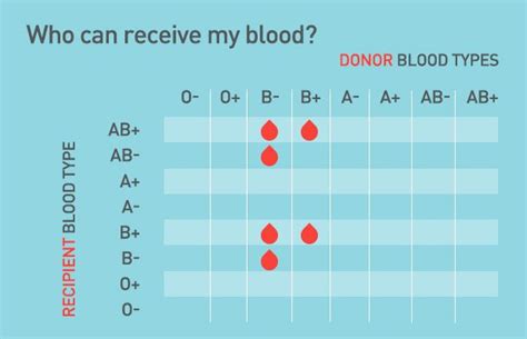 Type B Blood Type