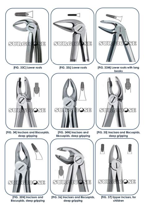 Type Of Dental Forceps
