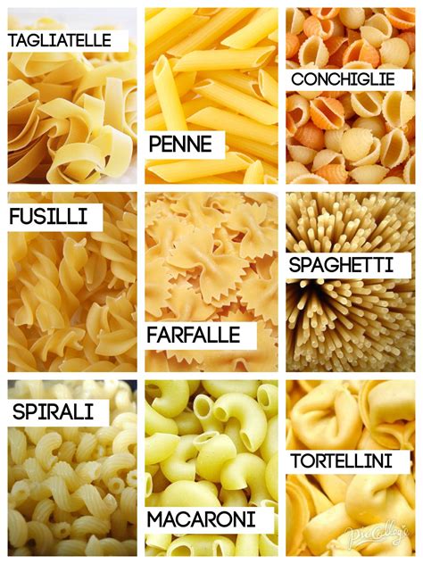 type of pasta noodles