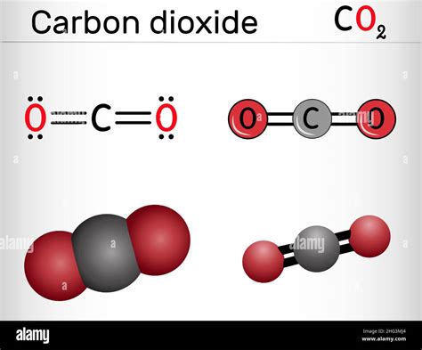 Type Of Structure Does Carbon Dioxide Have