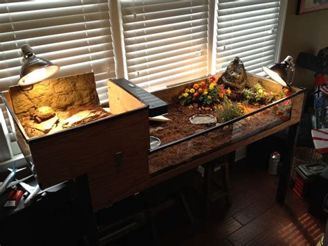 Type Of Wood For Tortoise Table