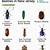 types of beetles in new jersey