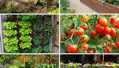 Types Of Garden Methods