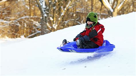 Different Types of Snow Sleds and Which One to Pick Backyard Boss