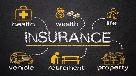 Information About Types Of Insurance In Business The Right Way! HIPPO