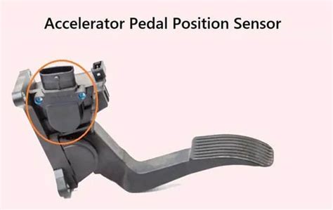 Types Of Accelerator Pedal Sensor