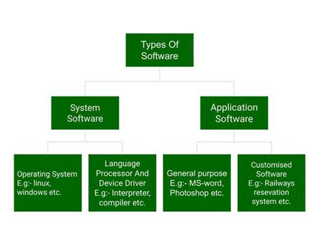types of application software class 5