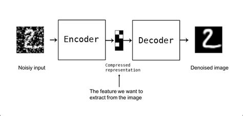 types of autoencoders
