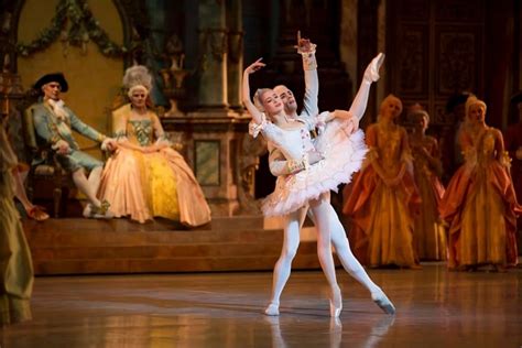 Types Of Ballet Shows