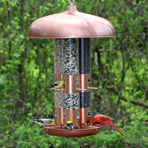 Types Of Bird Feeders Uk