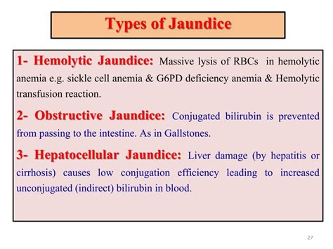 Types Of Blood Tests For Jaundice