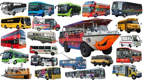 types of buses